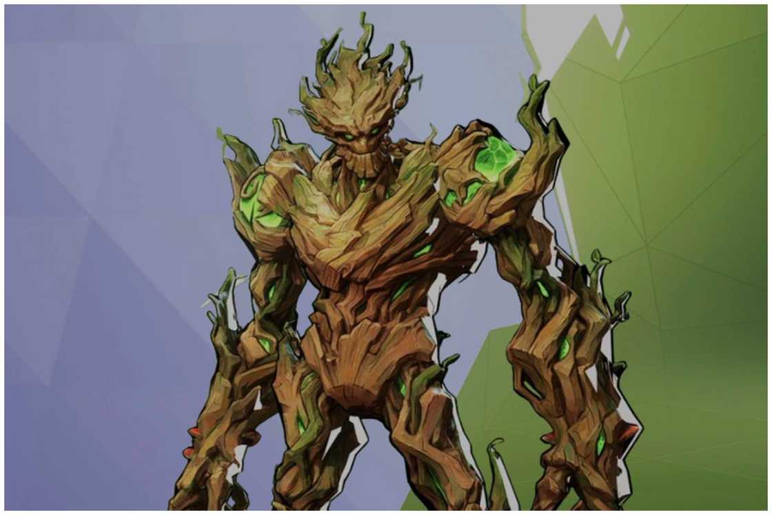 Groot Groot