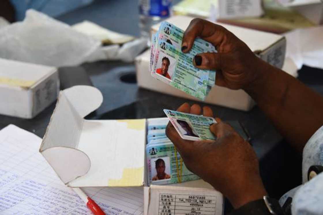 An official of INEC sorts out PVC of voters at a ward in Lagos. An official of INEC sorts out PVC of voters at a ward in Lagos.