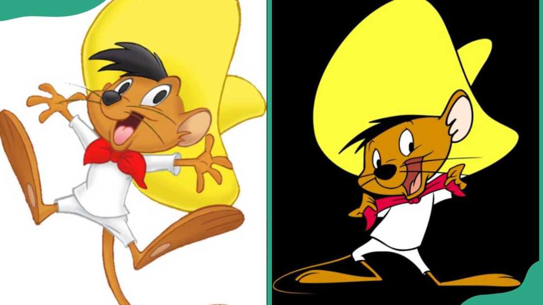 Speedy Gonzales male character Speedy Gonzales male character