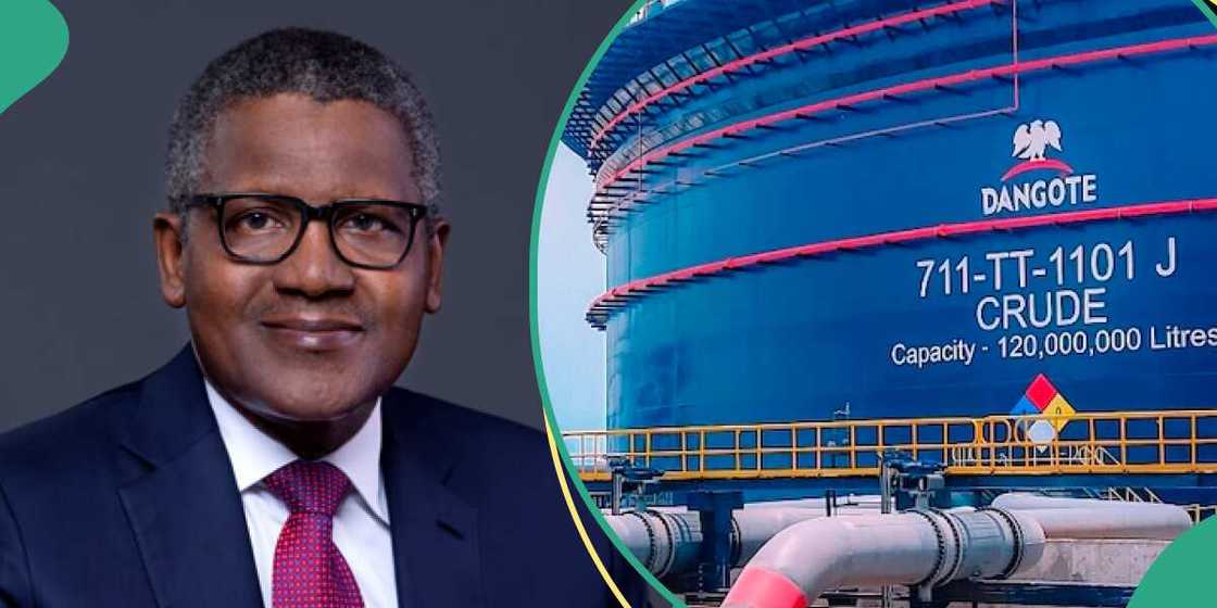 Matatar Dangote Matatar Dangote
