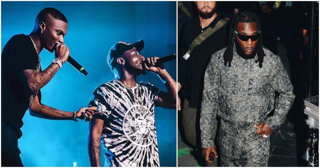 Davido calls Burna Boy new cat, says he and Wizkid were first to blow up. Davido calls Burna Boy new cat, says he and Wizkid were first to blow up.