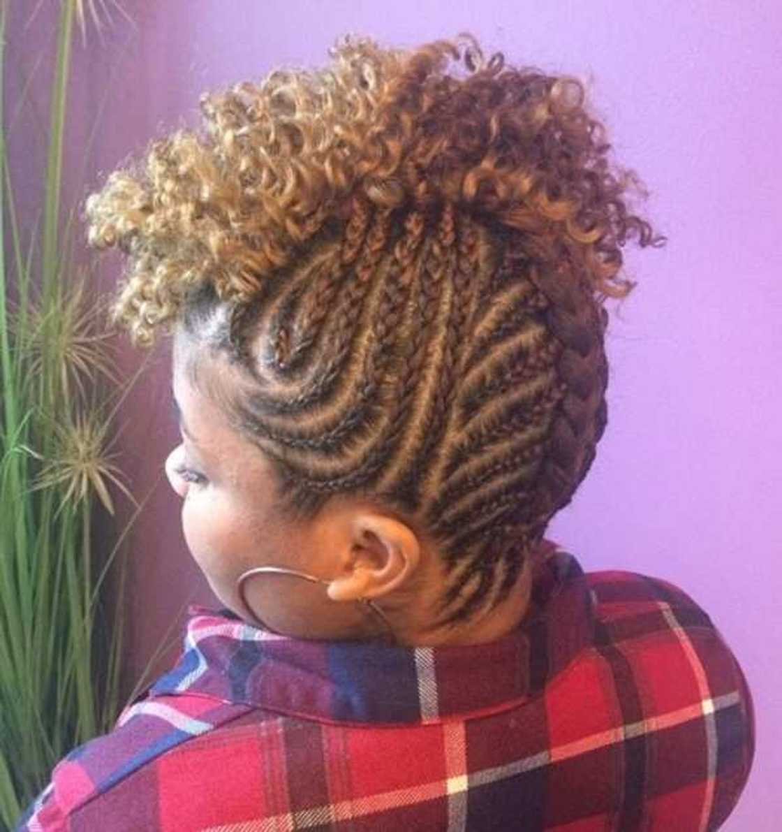 Braided mohawk Braided mohawk