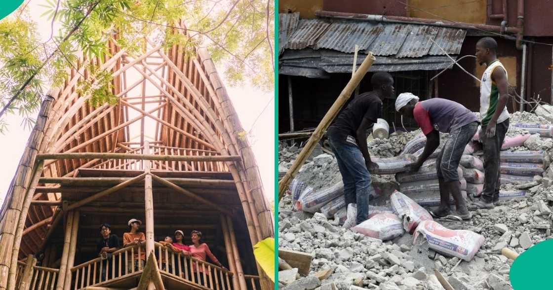 FG plans to build bamboo houses as cost of cement, others rises FG plans to build bamboo houses as cost of cement, others rises