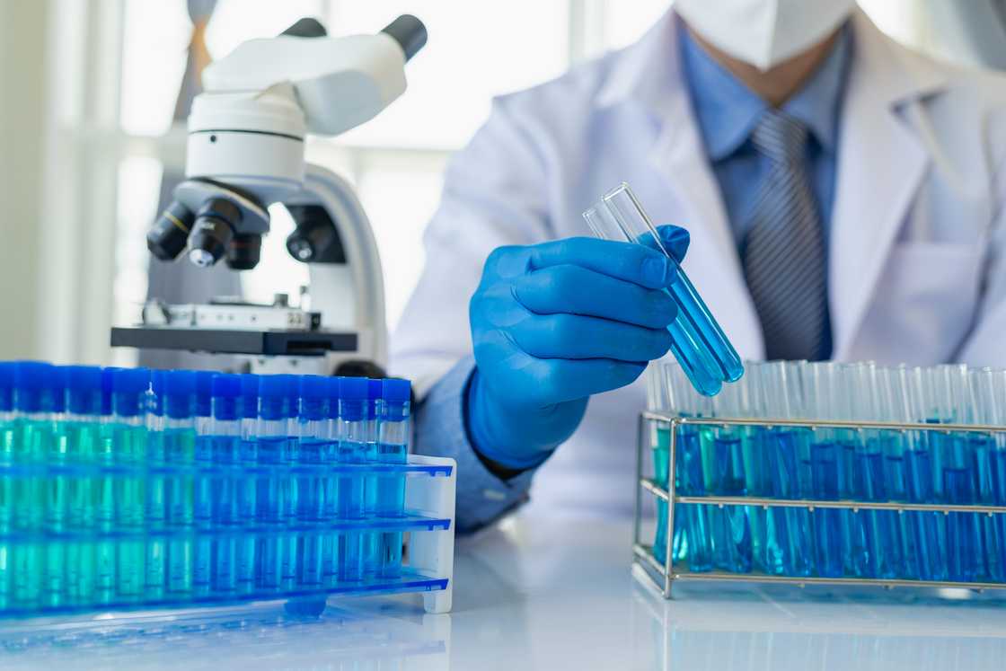 Student in the laboratory during research Student in the laboratory during research