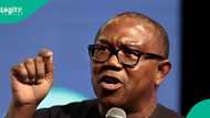 'Babu hadaka da Atiku,' Peter Obi ya ce zai yi takara a 2027, zai yi wa'adi 1 kawai