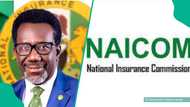 NAICOM releases updated requirements amid plans to enforce building insurance