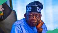 2027 election: Prominent northern politician shares how opposition can sack Tinubu