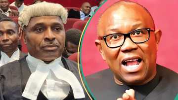 Tsohon jigo a LP ya yi wa Peter Obi raga raga, ya yi masa tonon silili