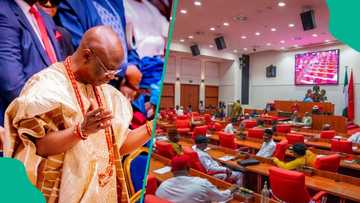 Senate drags Pastor Tunde Bakare as reason emerges