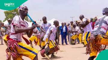 Adamawa: Mbula, Jhar people celebrate heritage, diversity with historic event