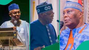 Full List: Tinubu, Atiku, other politicians' children in political battle and why