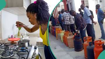 Cooking Gas prices surge by 32.5% in one year, reach all-time high in 2025