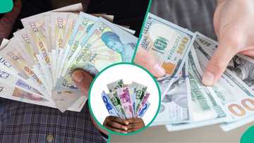 Naira ends May 2025 strong against dollar, appreciates in FX markets as reserves rise