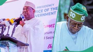 Has Akume been sacked by Tinubu as Secretary to the Govt of the Federation? Presidency opens up
