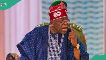 Tinubu told to immediately sack top female minister, "disaster"