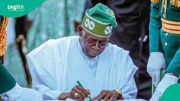 Just In: Tinubu gives appointment to former Senate president, Ex-SGF, 20 others, full list emerges