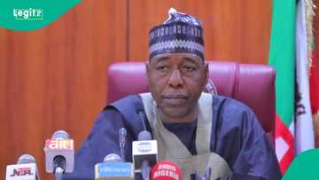 Ana fama da Boko Haram, Gwamna Zulum ya kafa sababbin dokoki a Borno