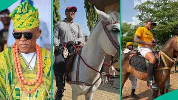 Ojude Oba 2025: Farooq Oreagba 'Mr Steeze' gears up in Ijebu with intense horse training