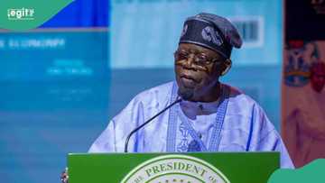Jigon APC ya zargi gwamnatin Tinubu da mayar da su saniyar ware a raba mukamai
