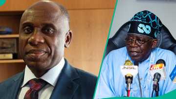"Kai tsaye na gaya masa": Amaechi ya fadi abin da ya gayawa Tinubu kan zaben 2023