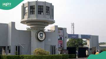 IVF: Egg donation is not a side hustle – UI cautions female students