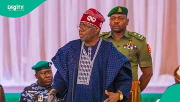 Matsala ta tunkaro Tinubu, jarumin da ya mara masa baya a 2023 zai tsinewa takararsa