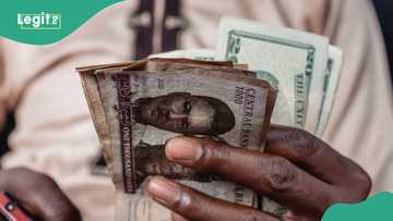 Naira bounces back, appreciates against US dollar to new exchange rate
