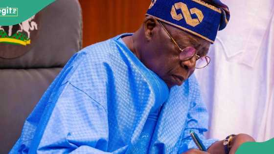 Tinubu gives appointment to prominent Kano APC chieftain, others, list emerges