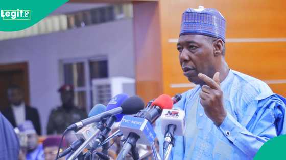 Gwamna Zulum ya yi tone tone, ya zargi wasu yan siyasa da sojoji da taimaka wa Boko Haram