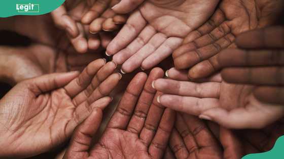 Where can a sociologist work in Nigeria? Career options to explore locally